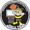 https://img.sdkmzg.com/img/basketball/team/e416830f4083698237c559f8988ddb25.png