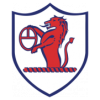 https://img.sdkmzg.com/img/football/team/11fb72f7b5eacfc881ee11bac75871fa.png