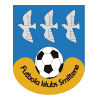 https://img.sdkmzg.com/img/football/team/259a1106a33b56d2bb3c458a62ffa2ea.png