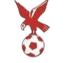 https://img.sdkmzg.com/img/football/team/4802d26df935b78bb2fcdbbff36e8864.png