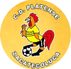 https://img.sdkmzg.com/img/football/team/63b0933cc303927659846a4ed54b1522.png