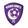 https://img.sdkmzg.com/img/football/team/c5a548d374c3bb29f1190bf670442c90.png