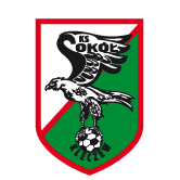 https://img.sdkmzg.com/img/football/team/e6a8908dd206e2ea02d9803c82c60bba.png